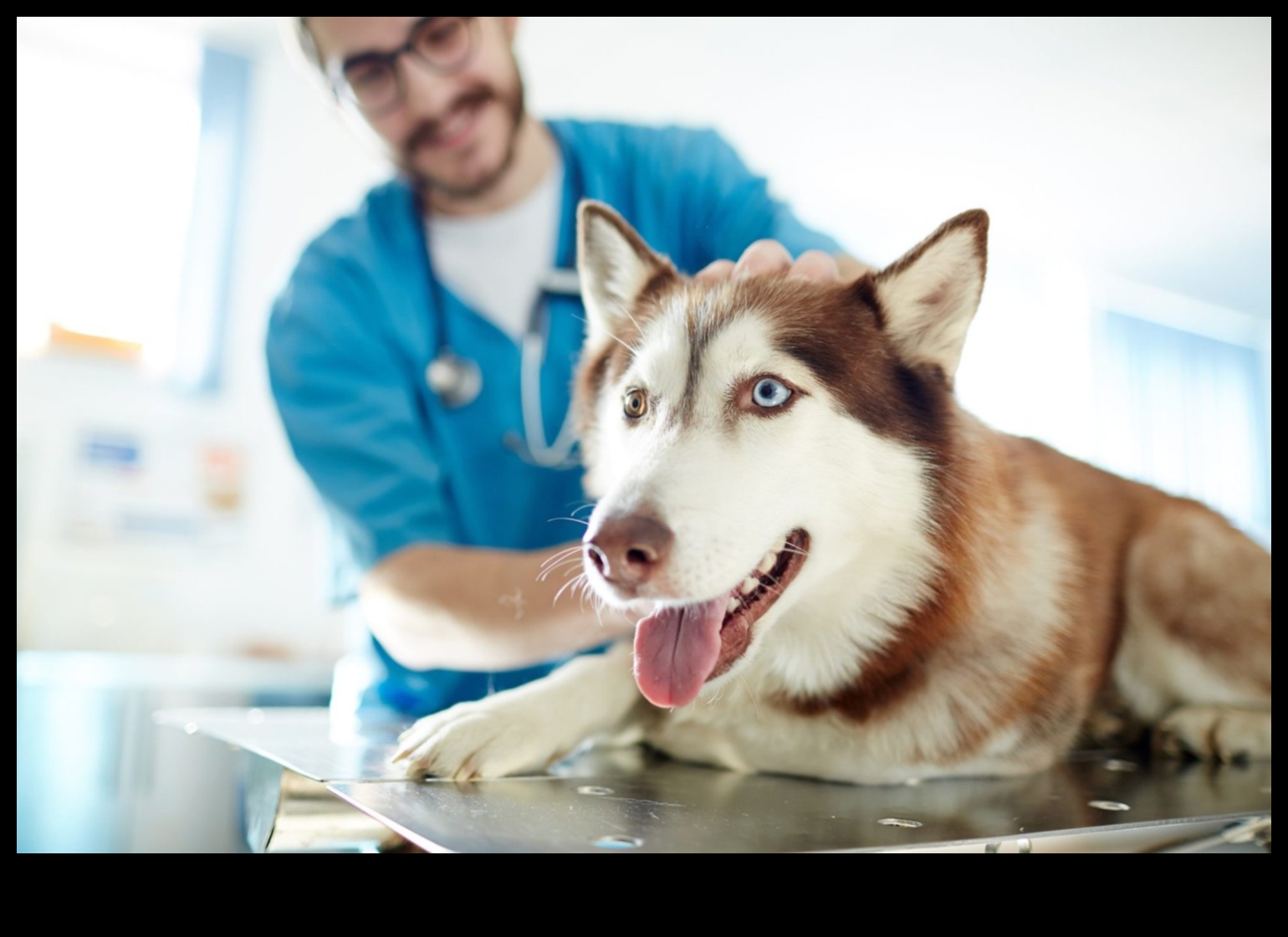 Barkonomics: Köpek Sahipliği İçin Bütçe Dostu İpuçları