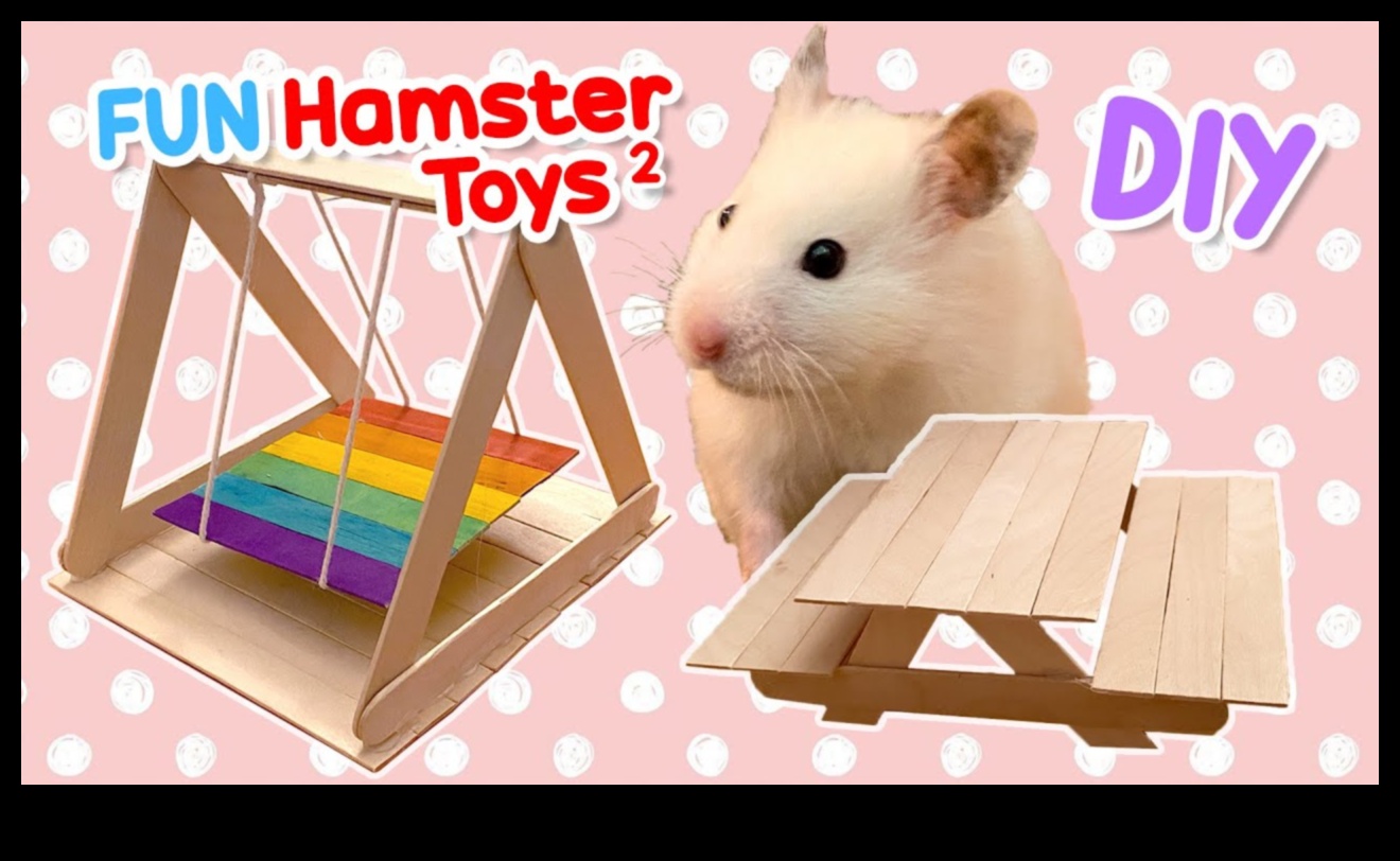 Hamster Kendin Yap Oyuncakları Devam Ediyor: Çevre Dostu ve Geri Dönüştürülebilir Fikirler