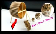 Hamster Kendin Yap Oyuncakları Devam Ediyor Basit ve Güvenli El Sanatları Projeleri